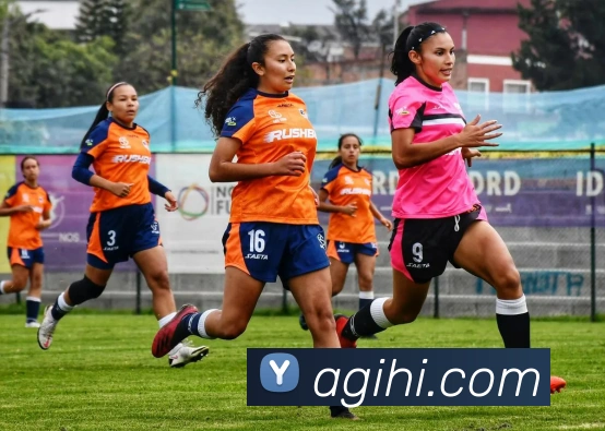 ag官网服务体系